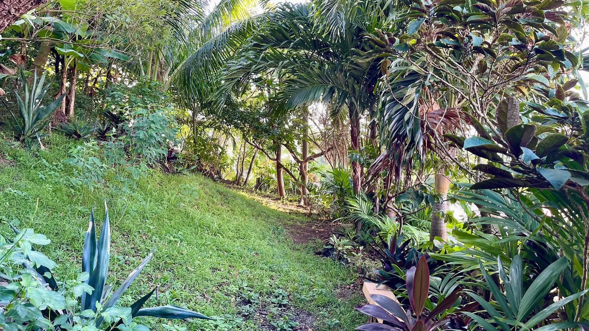 Upper Floor Retreat Apartment Castries